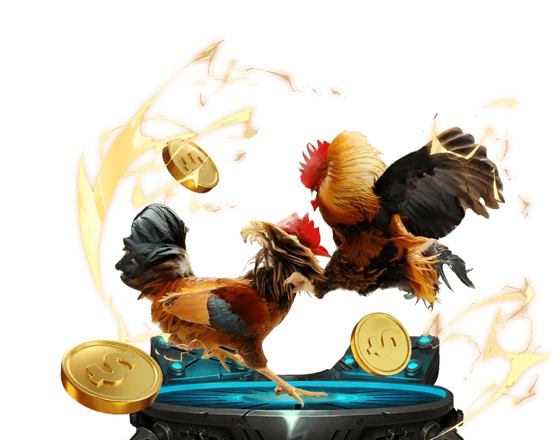 Hình ảnh minh họa cách đá gà trực tiếp 88.com sử dụng dữ liệu để cải thiện dịch vụ và bảo mật